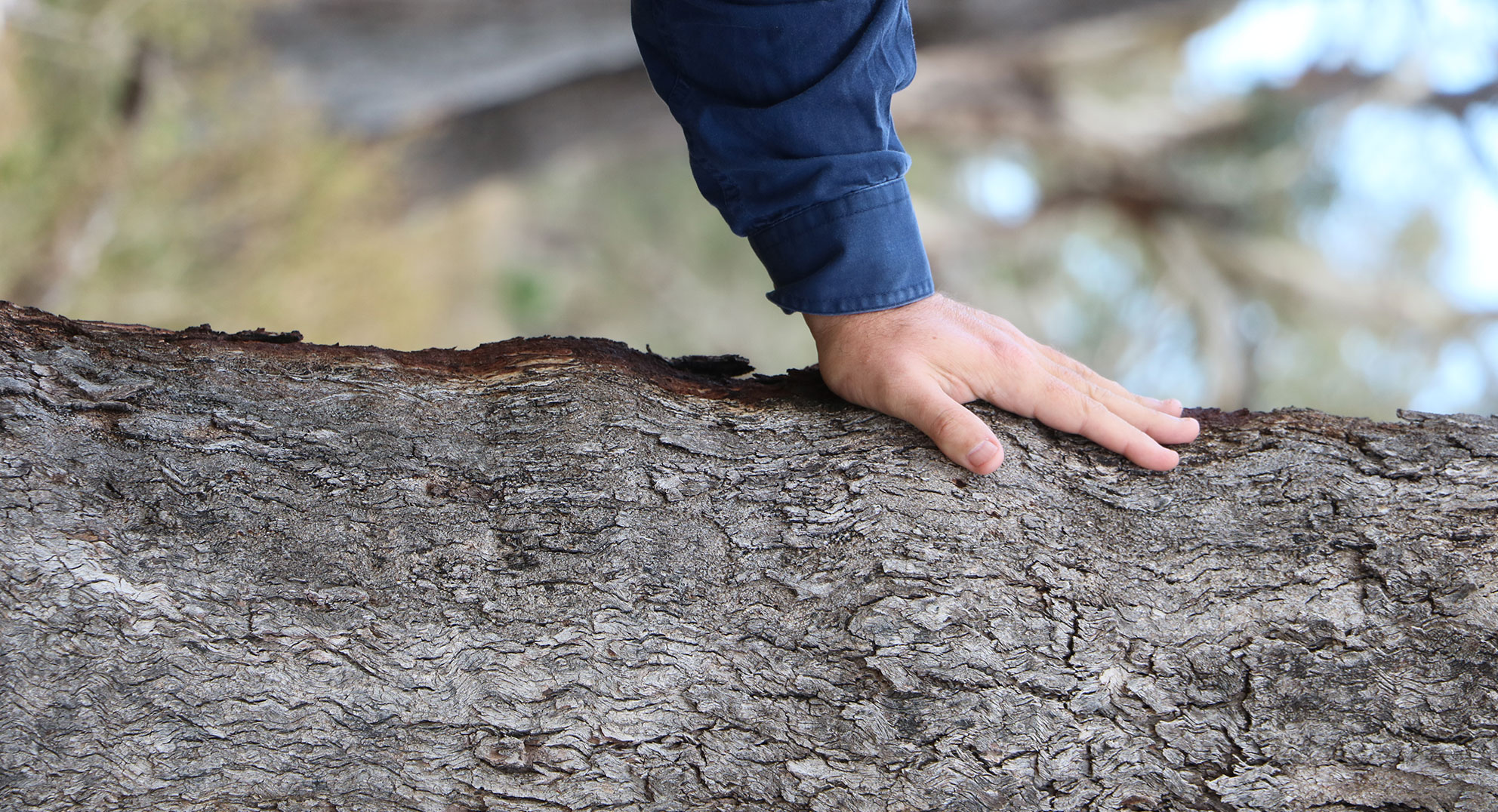 https://onebasin.com.au/wp-content/uploads/2024/06/Goondiwindi-Project-Header-A.jpg