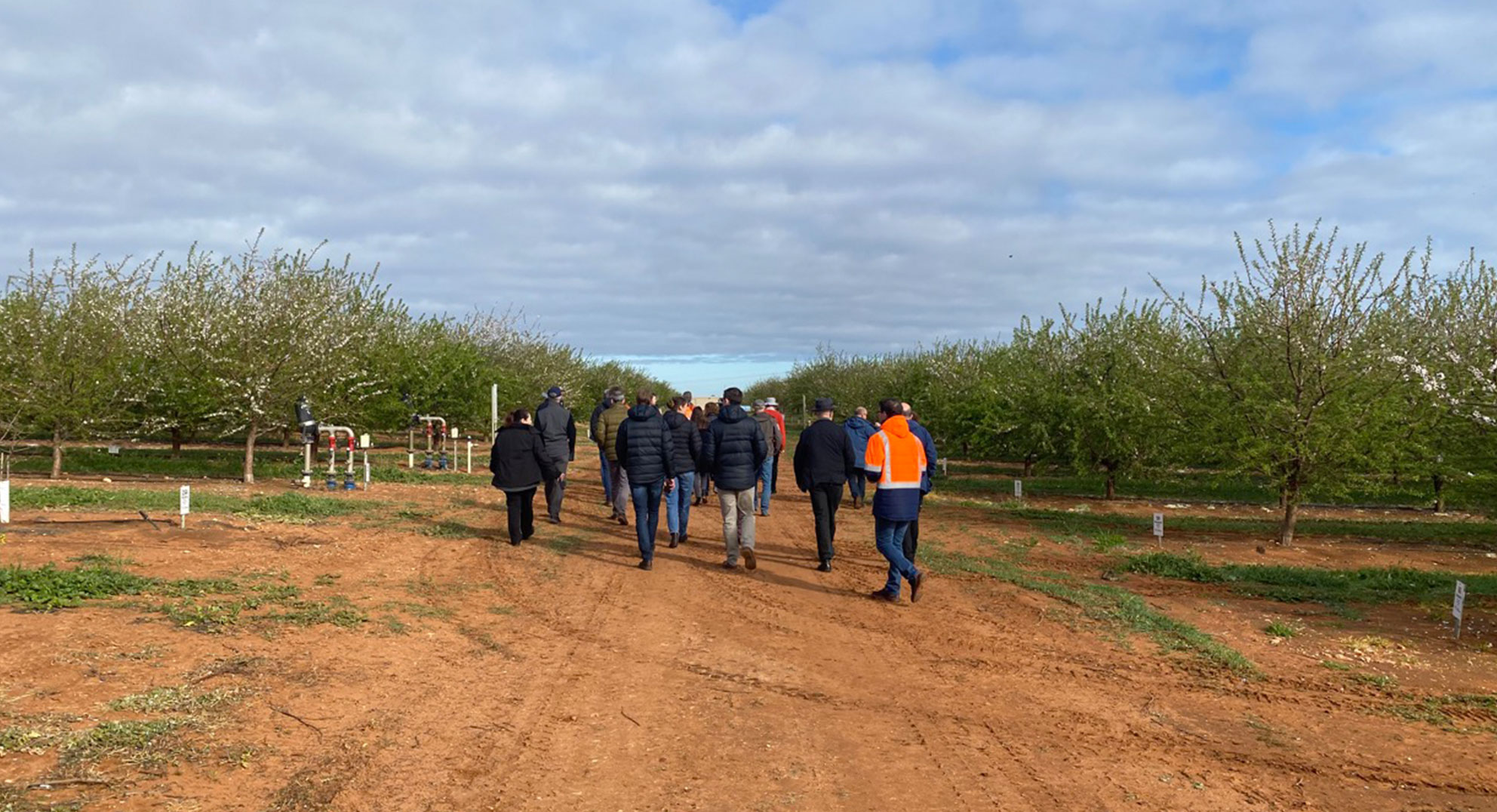 https://onebasin.com.au/wp-content/uploads/2024/06/Loxton-Project-Header-A.jpg